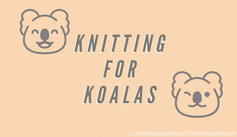 Knitting for Koalas